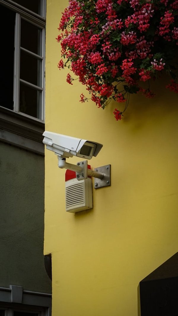 Quels sont les avantages d'une porte d'entrée avec ouverture biométrique pour la sécurité d'une maison?