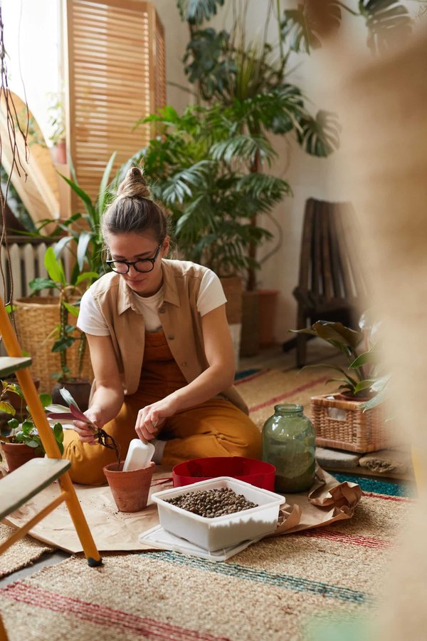 Quelles plantes pour un jardin sur balcon résistant à la pollution et au bruit ?