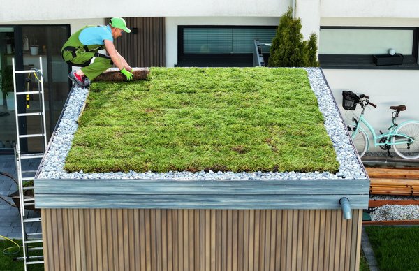 Toiture de maison végétalisée : les étapes de réalisation à respecter