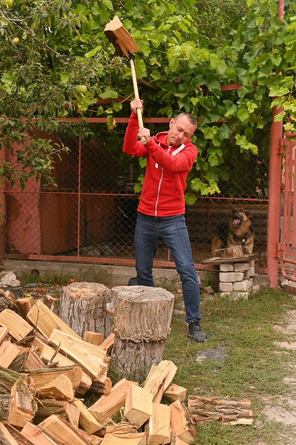 Choisir le meilleur outil de coupe du bois : guide et comparatifs