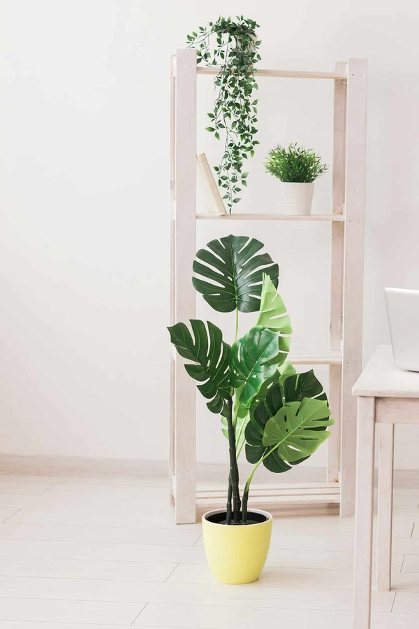 Plantes suspendues: fausses plantes tombantes artificielles