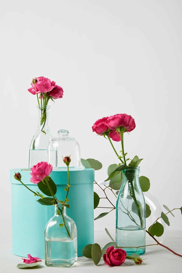Rose éternelle sous cloche : élégance intemporelle pour votre espace